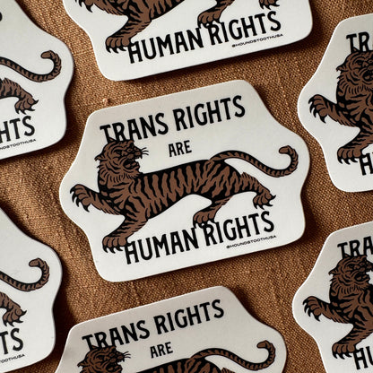 Trans Rights are Human Rights Sticker