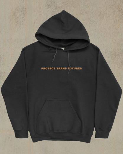 Trans Rights are Human Rights Hoodie